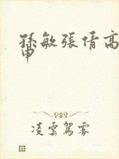 孙敏张倩高义王申