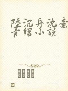 陆沉舟沈意欢林青绾小说