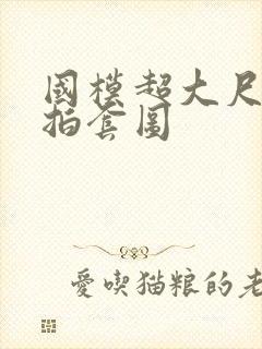 国模超大尺度私拍套图