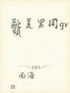 欧美男同gv视频