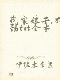 我家娘子,不对劲txt全本封面