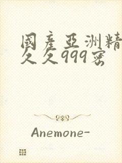 国产亚洲精品久久久999密