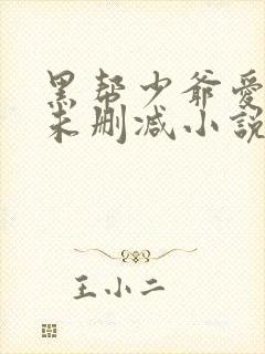 黑帮少爷爱上我未删减小说