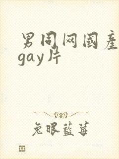 男同网国产原创gay片