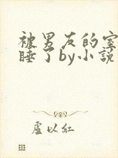被男友的室友们睡了by小说封面