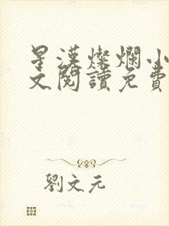 星汉灿烂小说全文阅读免费封面