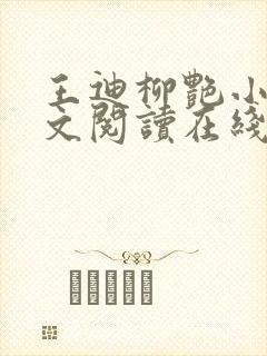 王迪柳艳小说全文阅读在线