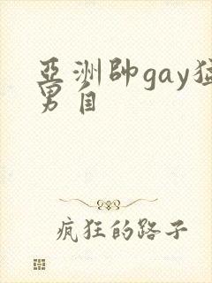 亚洲帅gay猛男自