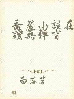 乔岩小说在线阅读无弹窗封面