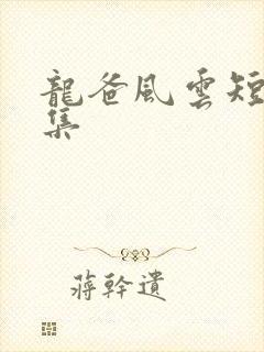 龙爸风云短剧合集