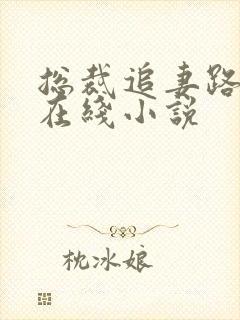 总裁追妻路漫漫在线小说