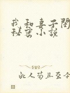 我和妻子闺蜜的秘密小说封面