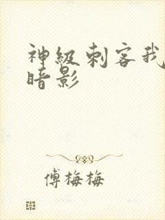 神级刺客我即为暗影