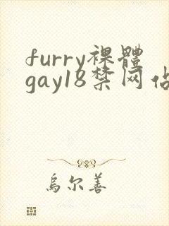 furry裸体gay18禁网站