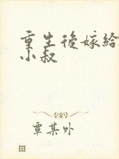 重生后嫁给渣男小叔封面