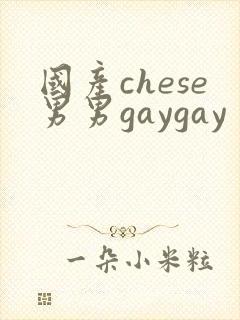 国产chese男男gaygay