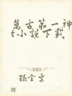 万古第一神txt小说下载