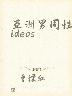 亚洲男同性恋videos