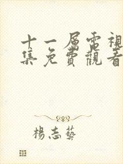 十一层电视剧全集免费观看