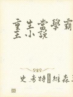 重生当学霸的女主小说