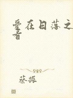 爱在日落之前收看