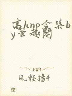 高hnp合集by笔趣阁