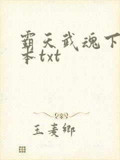 霸天武魂下载全本txt封面