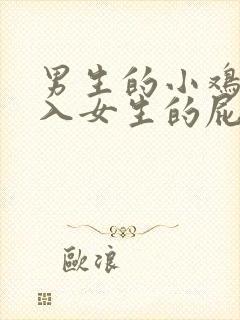 男生的小鸡鸡插入女生的屁股视频