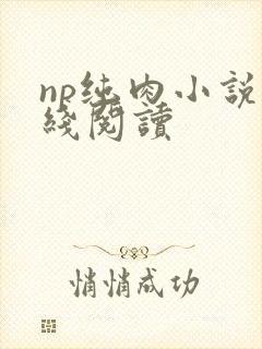 np纯肉小说在线阅读封面