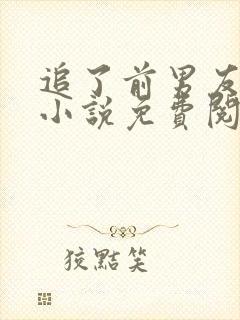 追了前男友的尾小说免费阅读封面