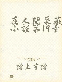 在人间采薇阿铭小说第19章