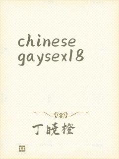 chinesegaysex18