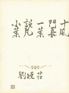 小说一门十忠烈叶凡叶长风全集封面