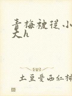 青梅被从小摸到大h