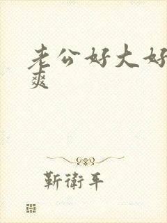 老公好大好硬好爽