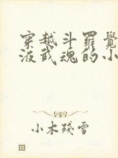 穿越斗罗觉醒血液武魂的小说封面