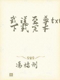 武道至尊txt下载完本封面