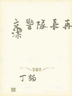 交警队长再遇白洁