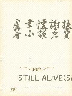 卢聿怀谢扶盈原著小说免费阅读封面