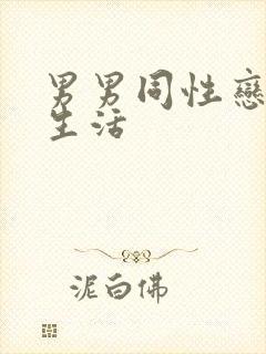 男男同性恋的性生活