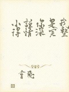 小说你是我的难得情深完整版