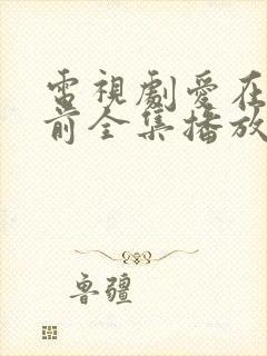 电视剧爱在日落前全集播放