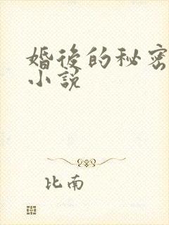 婚后的秘密张妍小说