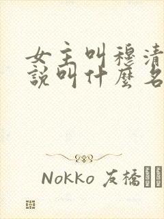 女主叫穆清的小说叫什么名字封面