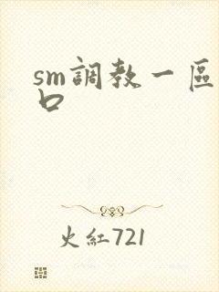 sm调教一区入口