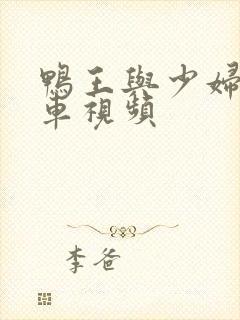 鸭王与少妇激情车视频封面