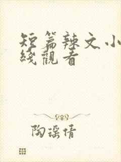 短篇辣文小说在线观看