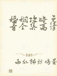 婚姻攻略免费观看全集高清完整版