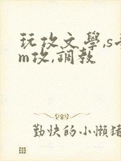 玩攻文学,s受m攻,调教