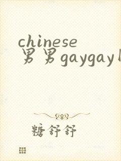 chinese男男gaygay网